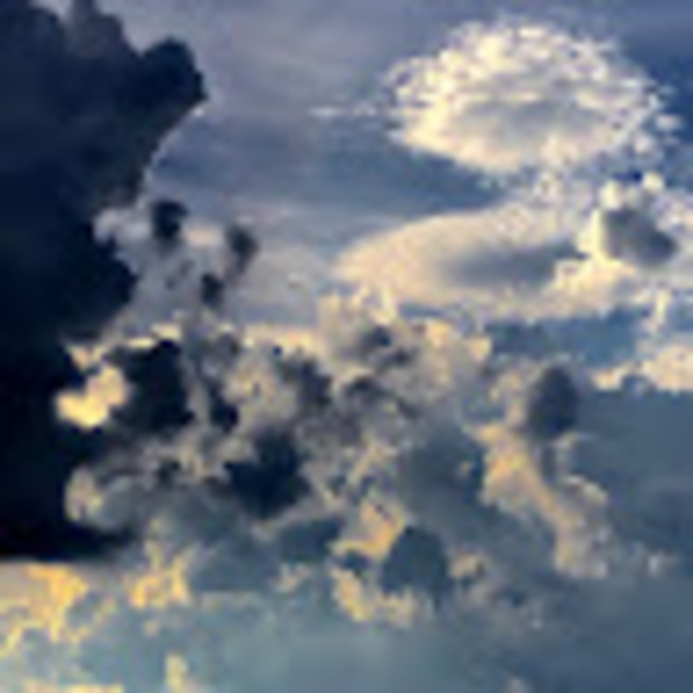 Meet your Posher, Frank